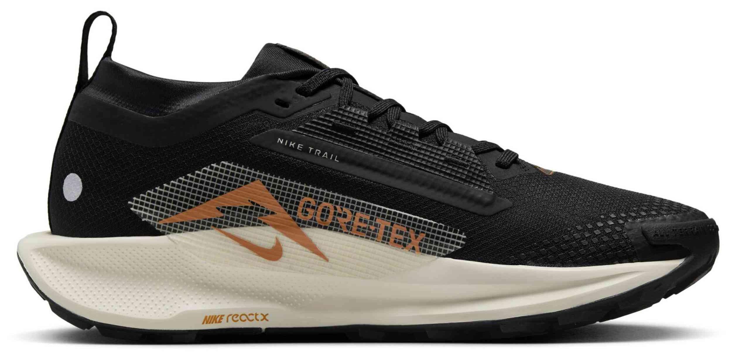 Laufschuhe Nike Nike Pegasus Trail 5 GORE-TEX für Herren