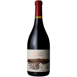 Finca Piedra Infinita 2018 - Familia Zuccardi