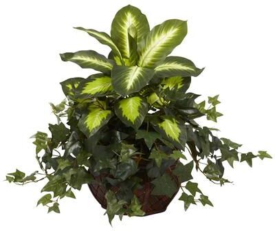 Nearly Natural Dieffenbachia and Ivy in Decorative Planter