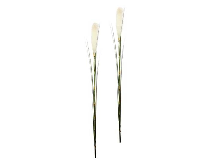 Flair Flower Pampasgras, 2er Set, Polyester, Kunststoff, Weiß, 6 x 6 x 125 cm, 2-Einheiten
