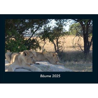 Bäume 2025 Fotokalender DIN A4