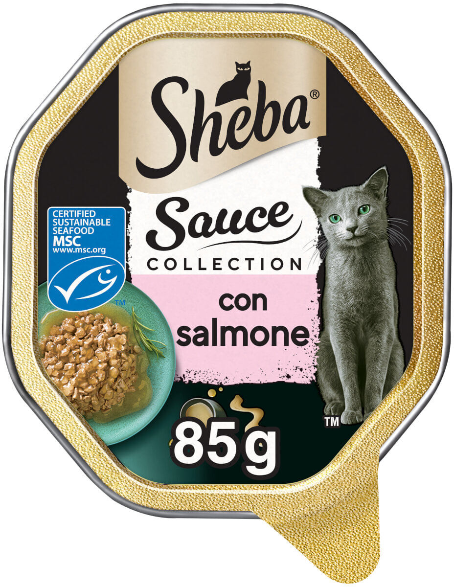 Sheba Sauce Collection Cat Vaschetta Multipack 22x85G SALMONE