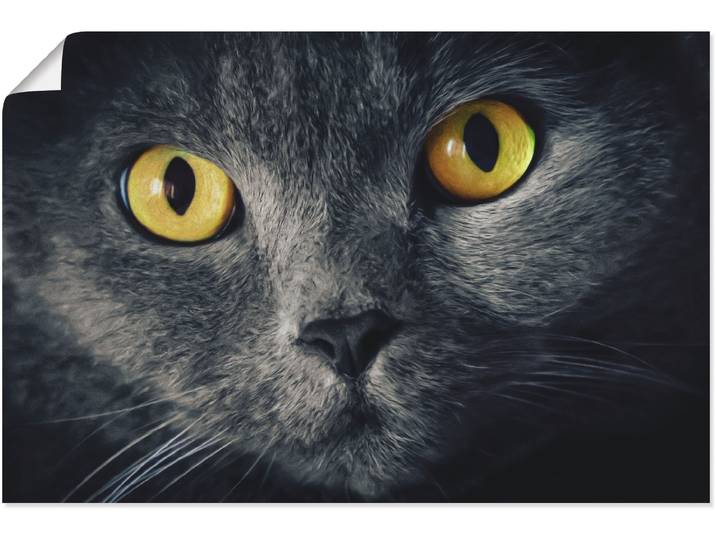 Poster ARTLAND Katzenaugen , schwarz (farbe bild(er): schwarz), B:60cm H:40cm, Bilder, Poster, ohne Rahmen