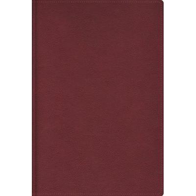 Rvr, Biblia de Estudio Trasfondo Cultural (El Contexto Lo Cambia Todo), Leathersoft, Rojo Vino, Interior a Color, Comfort Print, Gebundene Ausgabe von