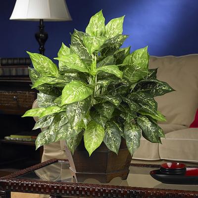 Nearly Natural Variegated Dieffenbachia with Large Hexagon Polyester Plant