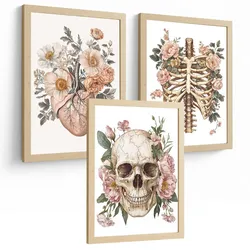 POSTER Set aus 3 Anatomie Mensch Florale Drucke und Wandbilder mit Herz Schädel und Brustkorb Weicher Vintage Stil Größe Leichter Holzrahmen A4