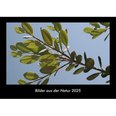 Bilder aus der Natur 2025 Fotokalender DIN A3
