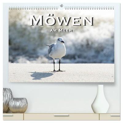 Möwen am Meer (hochwertiger Premium Wandkalender 2027 DIN A2 quer), Kunstdruck in Hochglanz