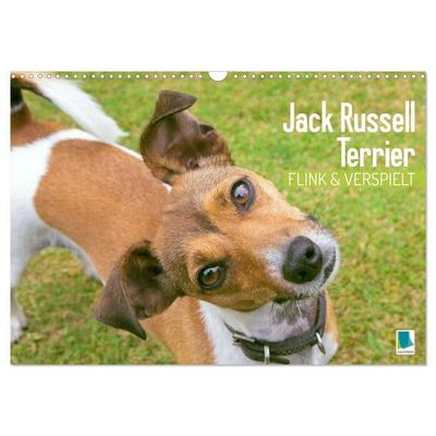 Jack Russell Terrier: flink und verspielt (Wandkalender 2027 DIN A3 quer), CALVENDO Monatskalender