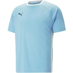 Puma, Herren, Sportshirt, teamLIGA Multisport Shirt (L), Blau, L