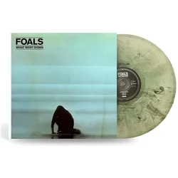 Warner Bros., Schallplatten, What Went Down (Foals)