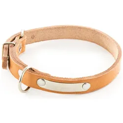 Martin Sellier Hundehalsband aus Leder mit Plakette (45, Hund, Allgemein, Spazieren), Halsband + Leine