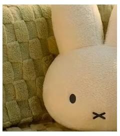 Lush Living Finds Chic Velvet Stuffed Soft Pillow For Sofa, Joyful Red Check Heart Rabbit Cushion, Throw Love Present Chair Bedding Deco white