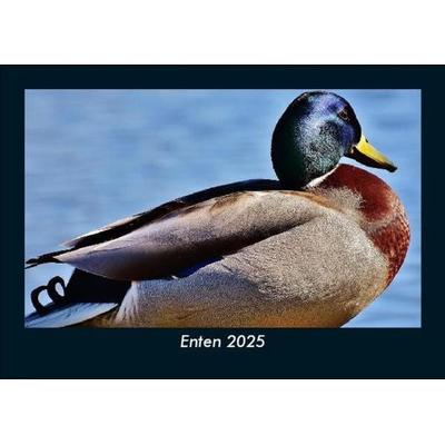 Enten 2025 Fotokalender DIN A5