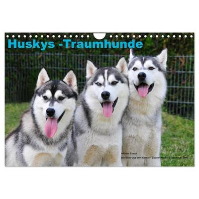 Huskys - Traumhunde (Wandkalender 2026 DIN A4 quer), CALVENDO Monatskalender