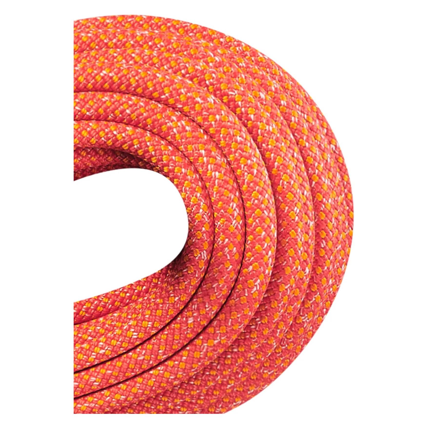 Edelrid Heron Eco Dry 9,8mm Kletterseil (50 m) (713350502140)