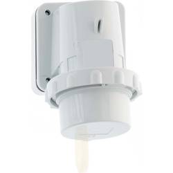 Bals Elektrotechnik 2485 2485 CEE Anbaustecker 16.0 A 3polig 230 V 1 St.