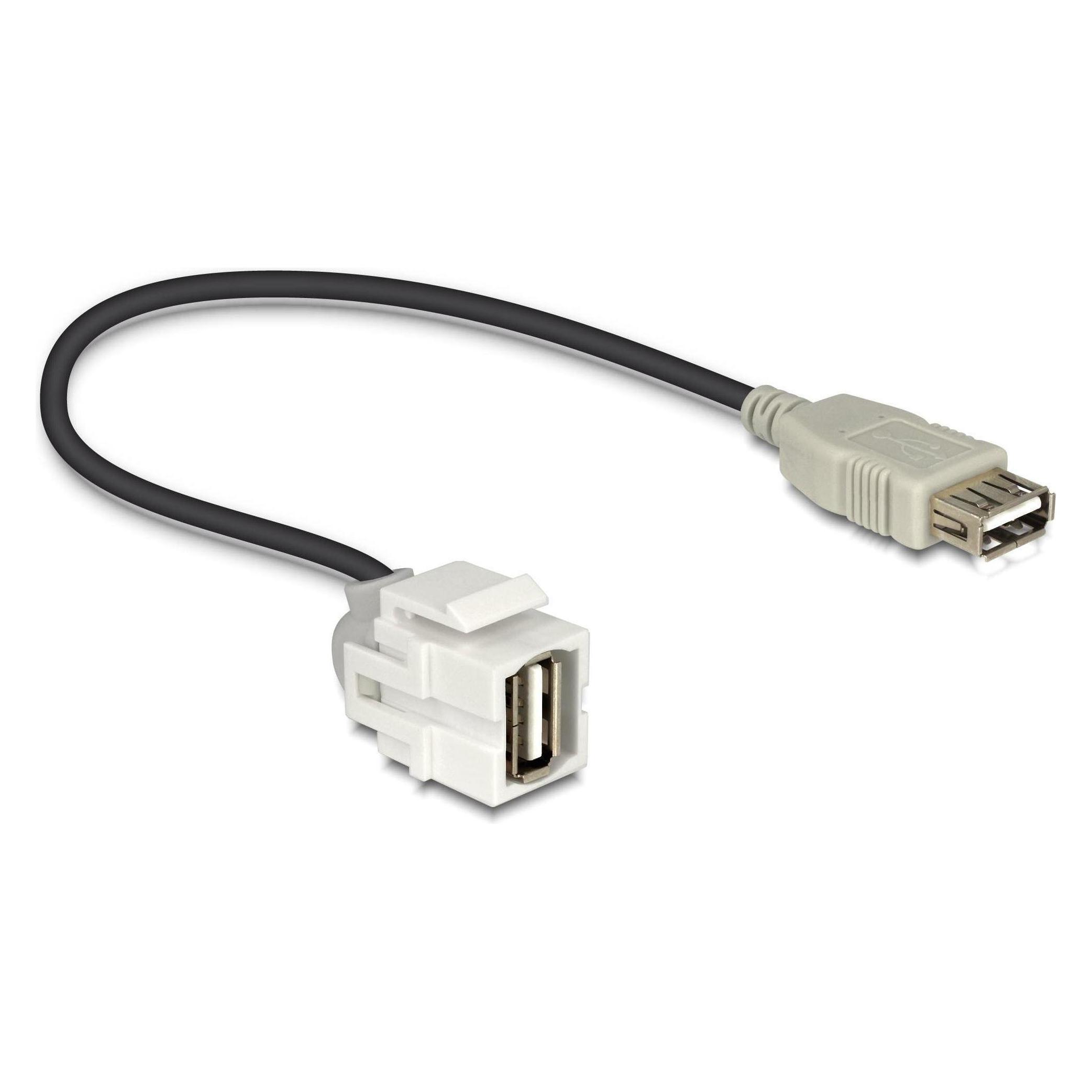 Delock Keystone Jack: USB2.0,250° gewinkelt (1.24 m, USB 2.0) (86329)