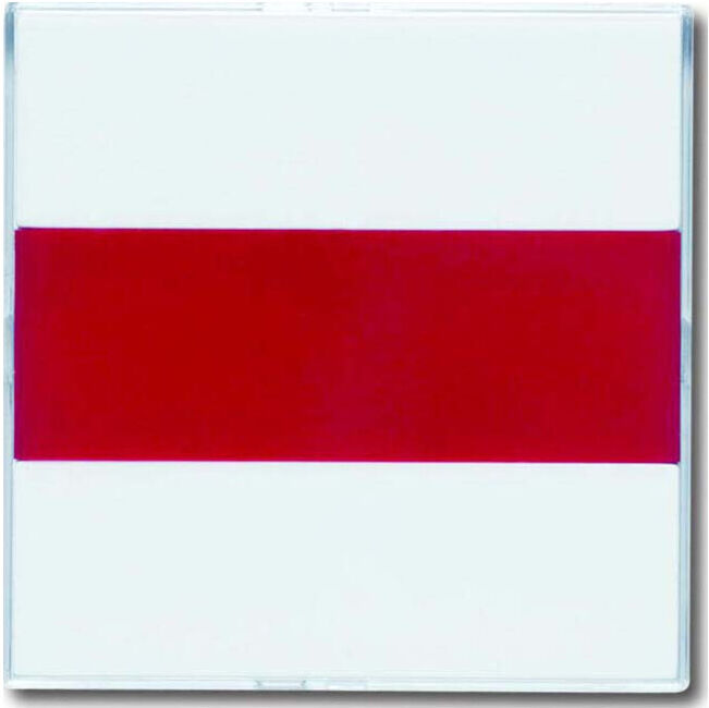 Busch-Jaeger Rosace centrale davos/stws rouge + calotte neutre 1573 CN-84 (2CKA001582A0350)