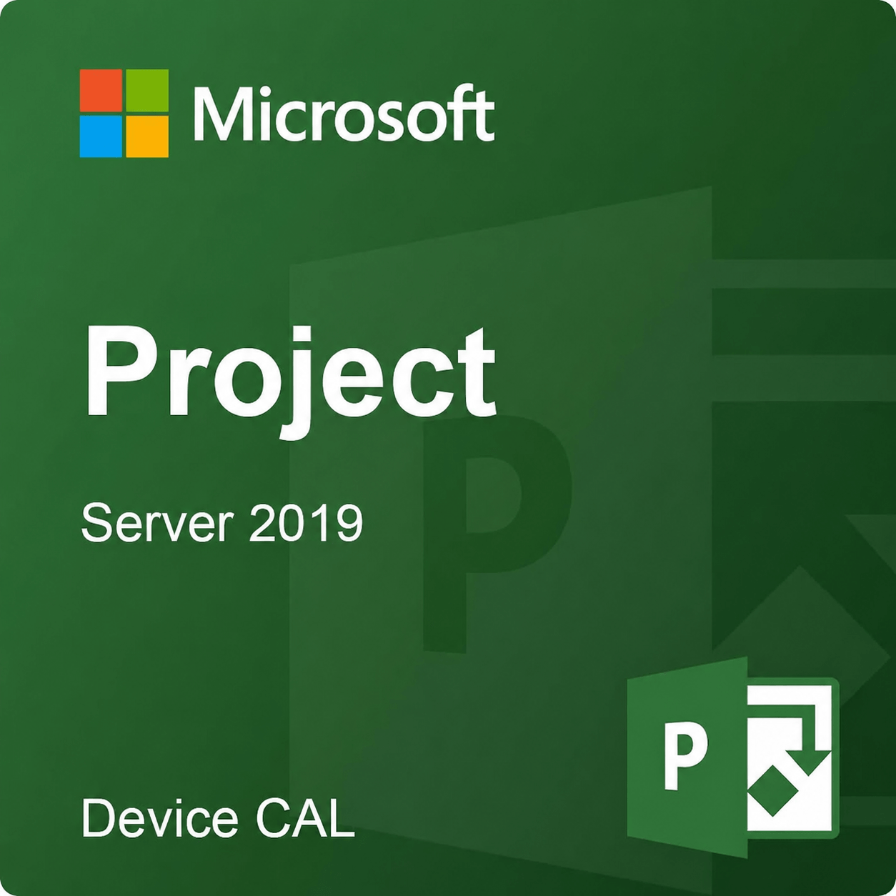 Microsoft Co Microsoft Project Server 2019 Device CAL DG7GMGF0F4LF:0003