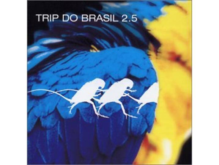 Trip To Brazil