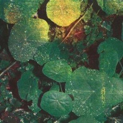 About Honey - Whoman, CD