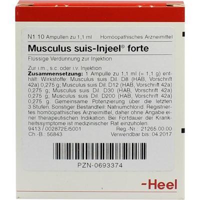 Biologische Heilmittel Heel GmbH MUSCULUS SUIS Injeel forte Ampullen 10 St 00693374