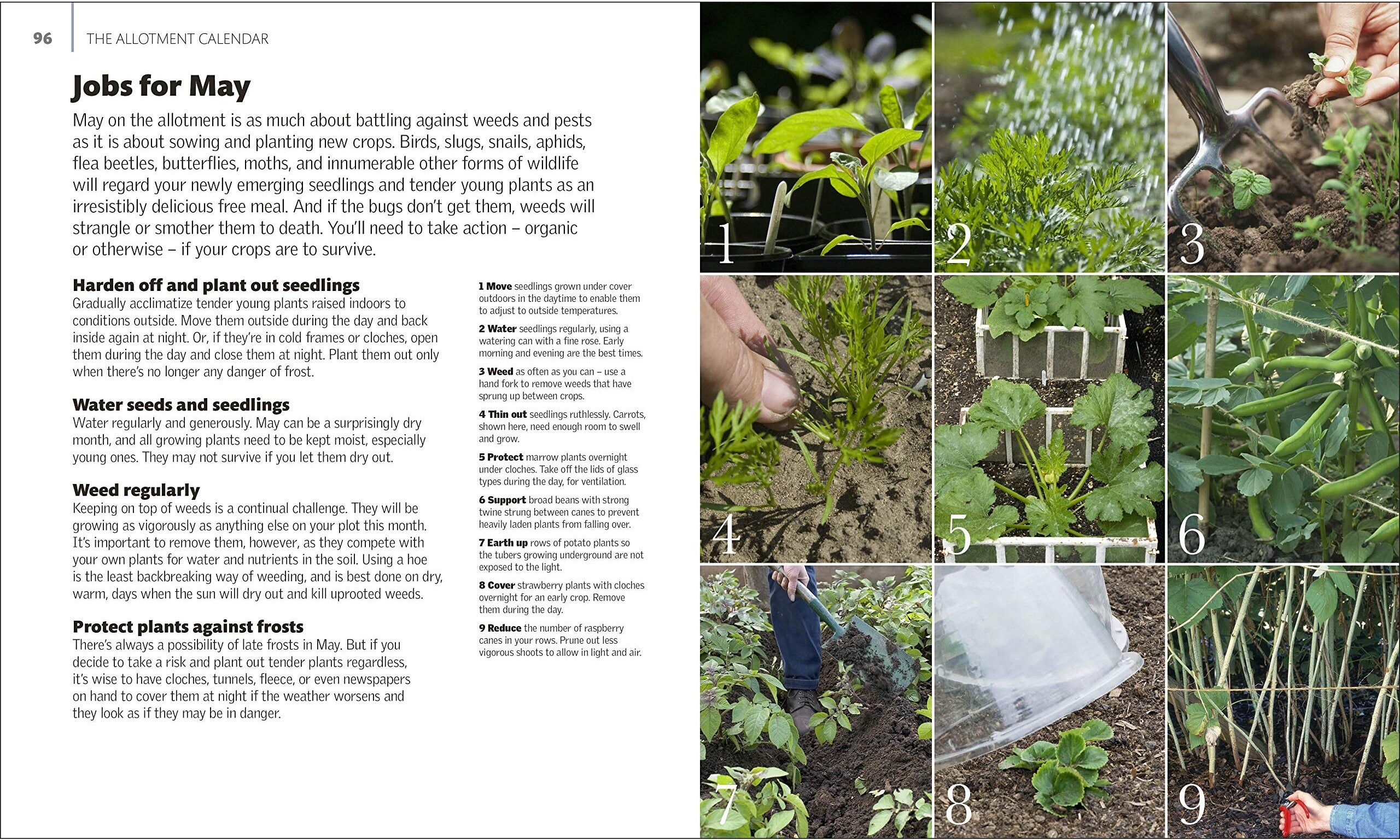 DK Allotment Month By Month - Grow Your Own Fruit And Vegetables Know What To Do When