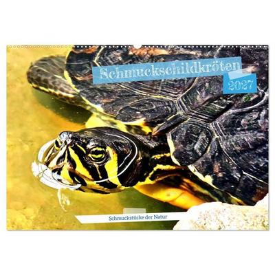 Schmuckschildkröten - Schmuckstücke der Natur (Wandkalender 2027 DIN A2 quer), CALVENDO Monatskalender