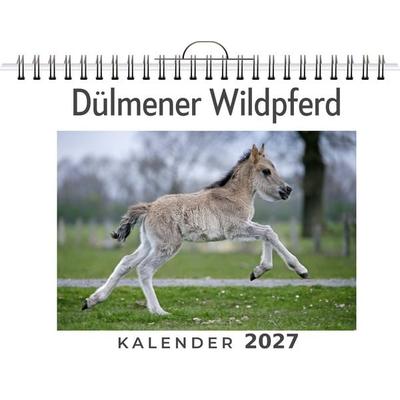 Dülmener Wildpferd