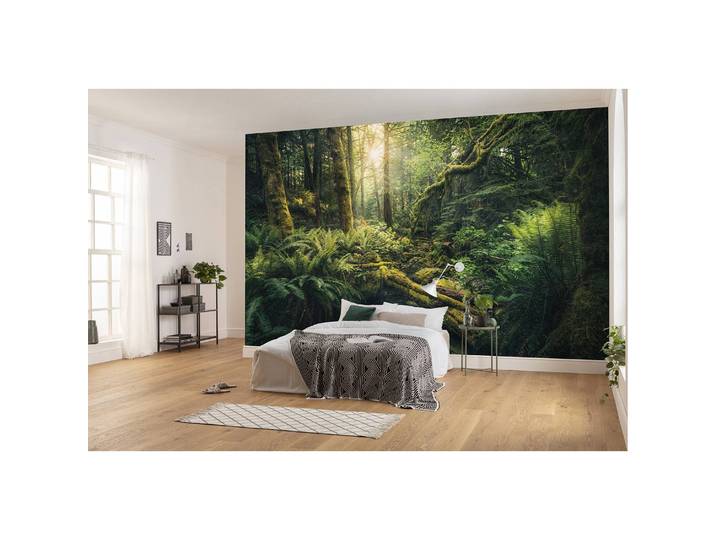 Vlies Fototapete Elves Cathedral 450 x 280cm