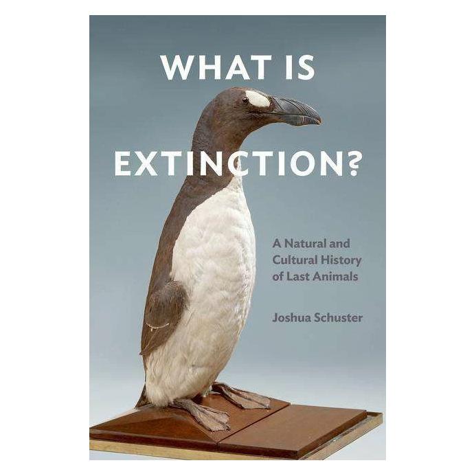 Combined Academic Publ. What Is Extinction? (Englisch, Joshua Schuster) (39027056)