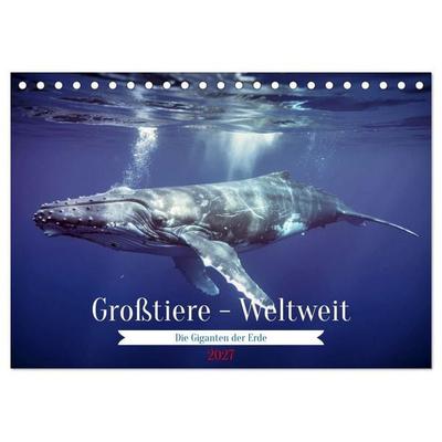 Großtiere - Weltweit (Tischkalender 2027 DIN A5 quer), CALVENDO Monatskalender