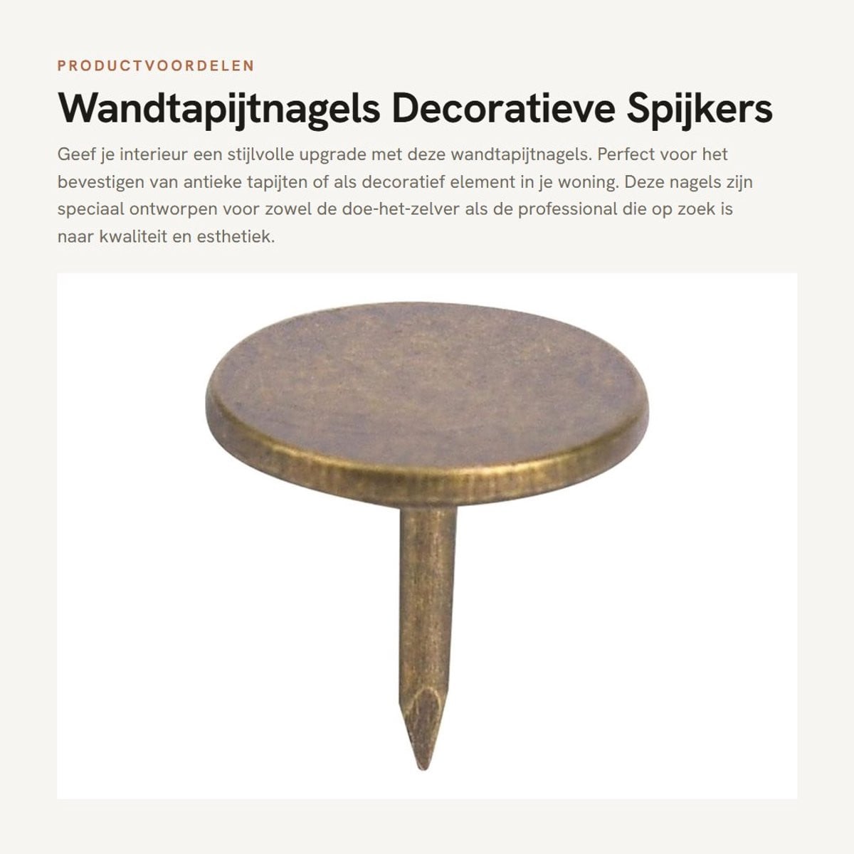 Dailygoods Wandtapijtnagels 100 stuks - Antieke Meubelspijkers