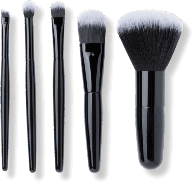 Mii Cosmetics 5-Piece Mini Makeup Brush Set