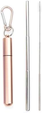 Fusion Finds Reusable Telescopic Stainless Steel Drinking Straw Set With Carry Case And Cleaning Brush For Water, Coffee, Milk, Milks Color: Gold silver
