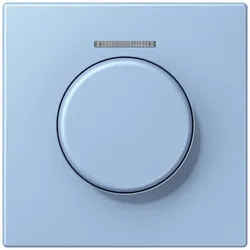 Jung Abdeckung mit Lichtleiter LC 1940 KO5 207