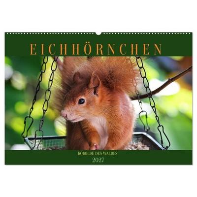 Eichhörnchen, Kobolde des Waldes (Wandkalender 2027 DIN A2 quer), CALVENDO Monatskalender