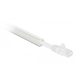 Delock Mini self-closing - Kabelkanal - 1 m - weiß 20717