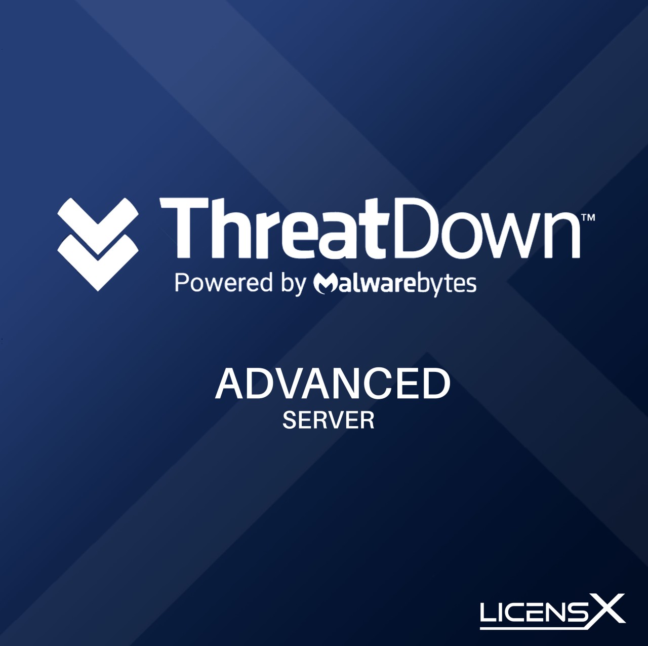 ThreatDown ADVANCED SERVER Corporate 1 Jahr 1 - 24 User TDADVS12B1