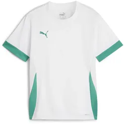 PUMA teamGOAL Matchday Trikot Kinder 15 - PUMA white/sport green/sport green 152
