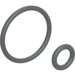 Geberit O-Ring-Set für Duscharm zu Balena 4000 und AquaClean 4000 Aufsatz 242176001