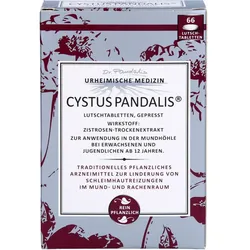 Cystus Pandalis Lutschtabletten 66 ST