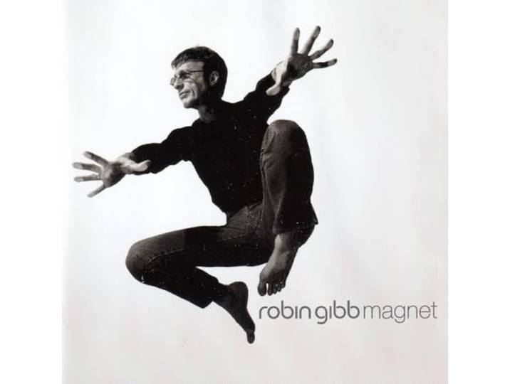 Magnet