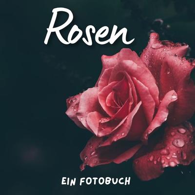 Rosen, Taschenbuch von Bibi Hübsch, 27amigos, 978-3-7505-1675-5