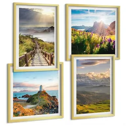 BILDER SET 4er Set - 50x50 cm & 40x60 cm Goldrahmen - Bergblumen Himmelsweg