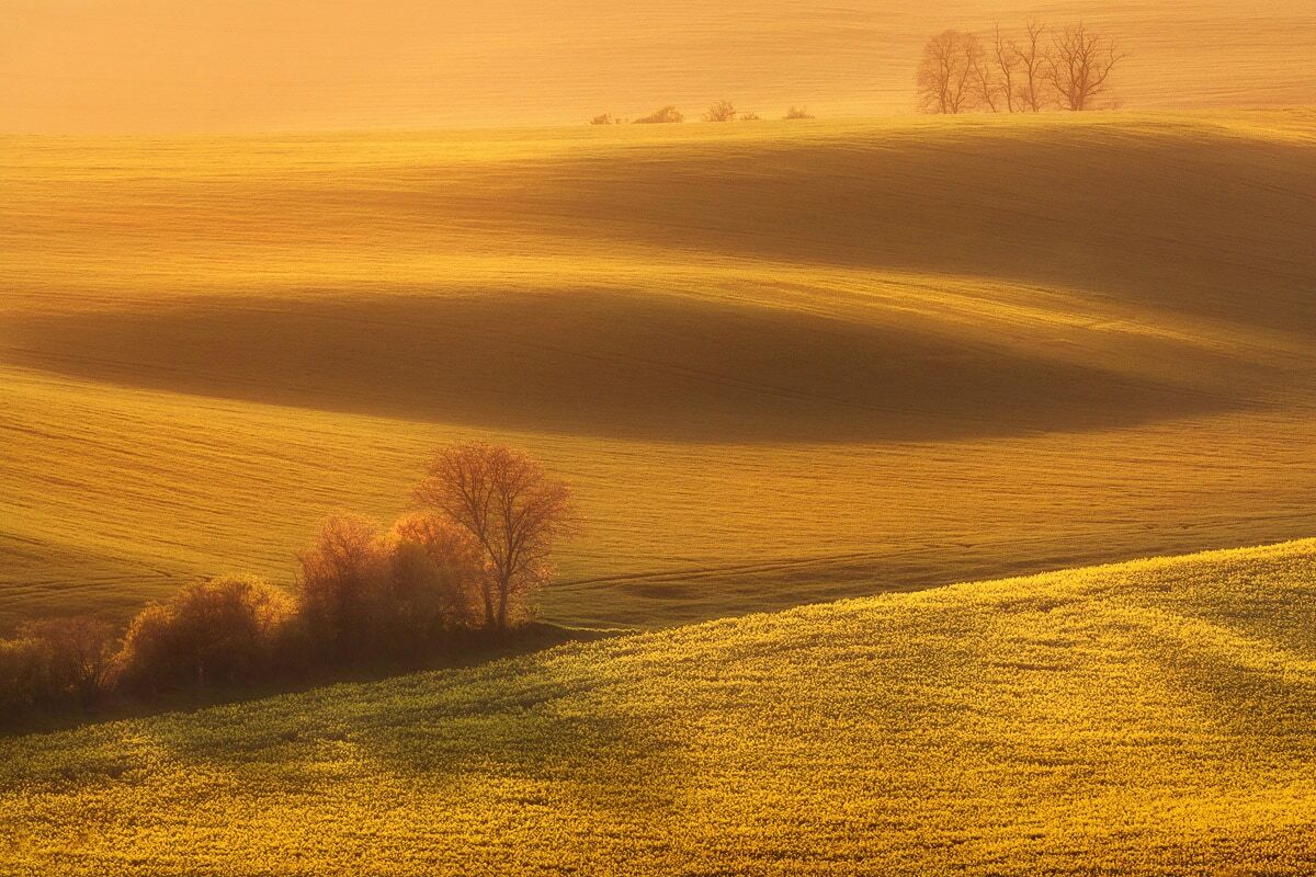 Fototapete PAPERMOON "Landschaft", bunt, B:3m L:2,23m, Vlies, Tapeten
