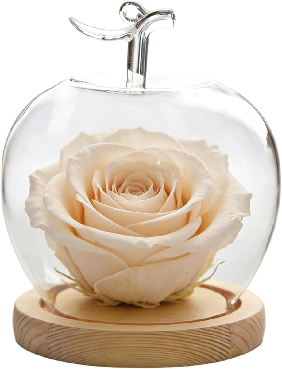 Meerkleurige glazen koepel met fruitvorm design voor decoratieve presentatie