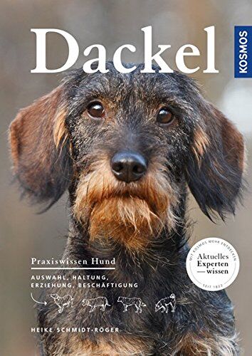 Heike Schmidt-Röger - Dackel - Preis vom 19.10.2026 19:33:35 h