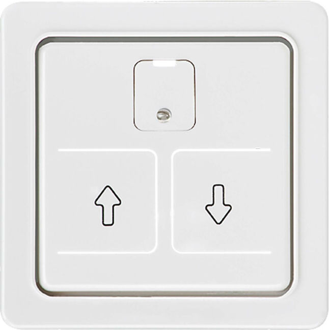 Elso Plaque centrale rw pour commande de volet roulant 207064 (207064)